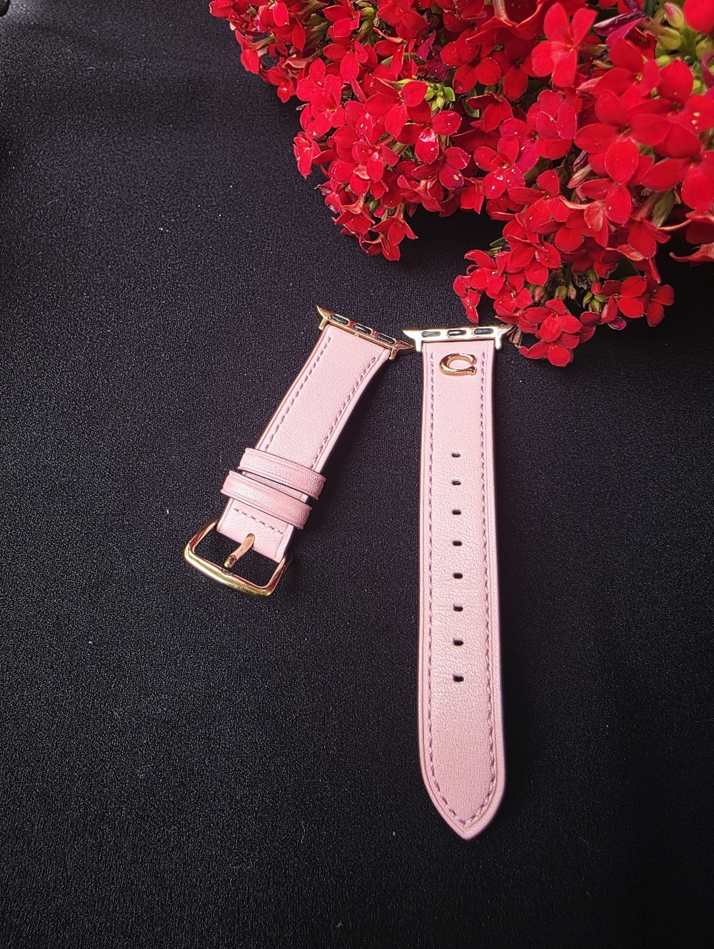COACH Replacement Band For Apple Watch - Picture 3 of 6